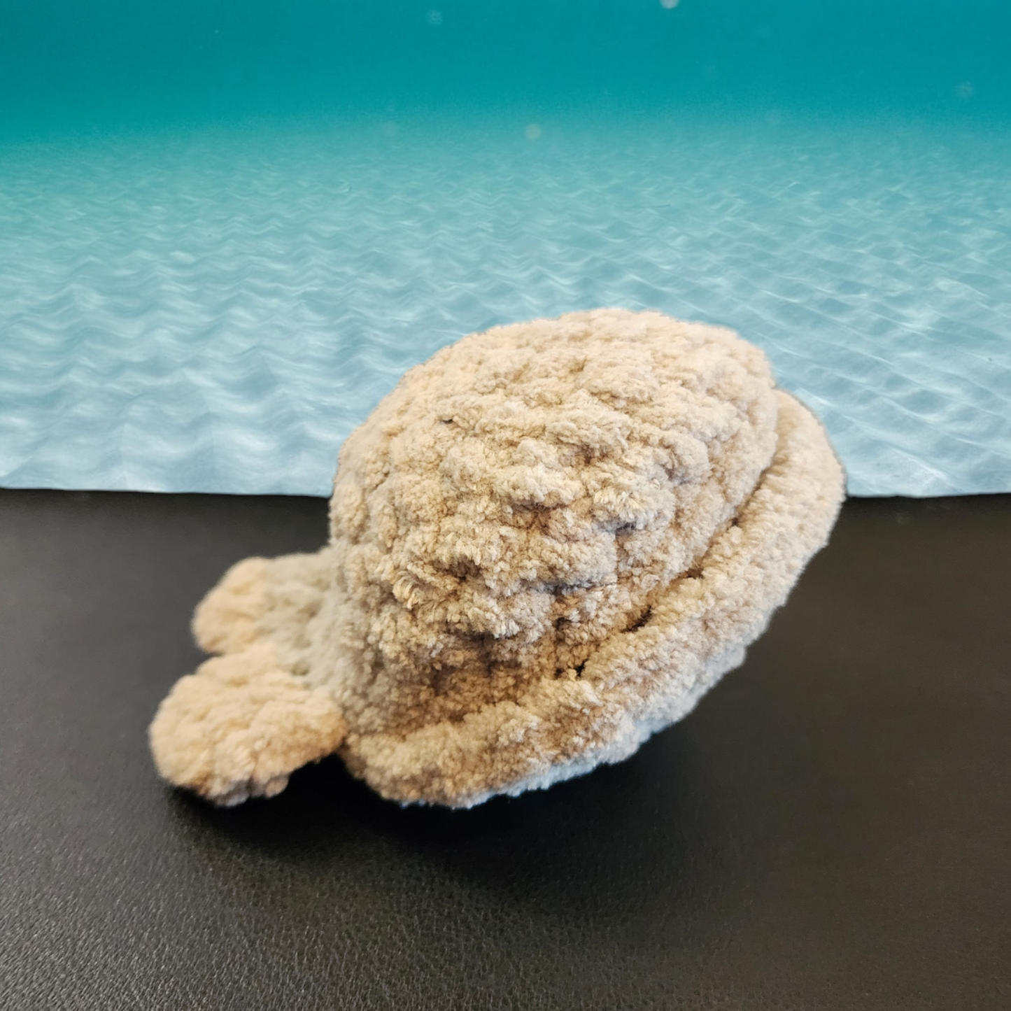 Cuddly Clam Rattle