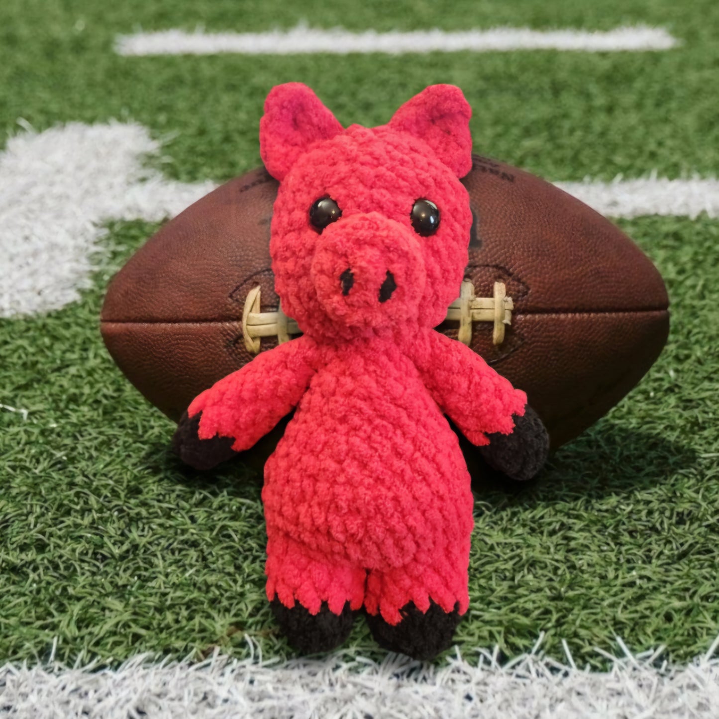 Mini Touchdown Buddy