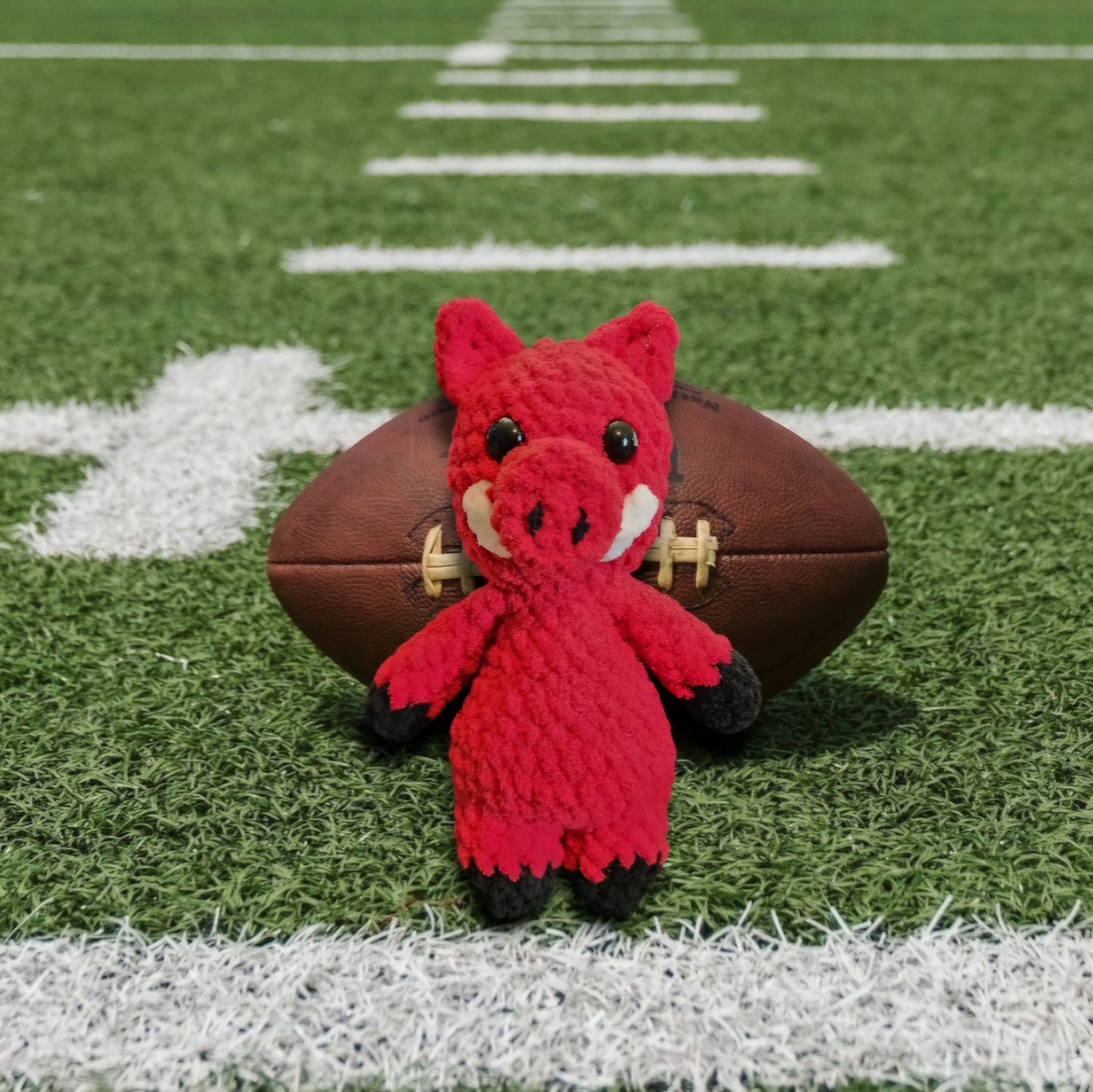 Mini Touchdown Buddy